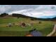 Webcam in Czarna Góra, 6.4 mi away