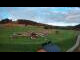Webcam in Czarna Góra, 16.6 km