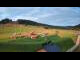 Webcam in Czarna Góra, 6.4 mi away