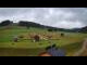 Webcam in Czarna Góra, 12.7 km entfernt