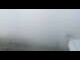 Webcam in Madonna di Campiglio, 2 km