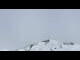 Webcam in Maria Alm, 4.6 mi away