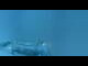 Webcam on mount Dachstein, 3 mi away