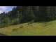 Webcam in Going am Wilden Kaiser, 1.8 mi away