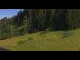 Webcam in Going am Wilden Kaiser, 4.6 km