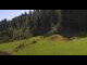 Webcam in Going am Wilden Kaiser, 1.7 km entfernt