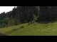 Webcam in Going am Wilden Kaiser, 0.6 mi away