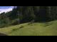 Webcam in Going am Wilden Kaiser, 1.7 km