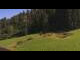 Webcam in Going am Wilden Kaiser, 1.7 km
