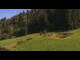 Webcam in Going am Wilden Kaiser, 1.7 km