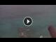 Webcam in Capri, 8 mi away