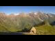 Webcam in Fusch an der Großglocknerstraße, 3.4 mi away