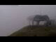 Webcam in Zürs, 3.9 km entfernt
