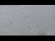 Webcam in Zürs, 0.8 mi away