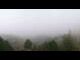 Webcam in Turracher Höhe, 0.2 mi away