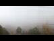 Webcam in Turracher Höhe, 1.7 km