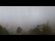 Webcam in Turracher Höhe, 0.2 mi away