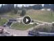 Webcam in Madonna di Campiglio, 0.3 km