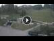 Webcam in Madonna di Campiglio, 1.9 km