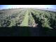 Webcam in Jork, 5.9 km entfernt
