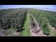 Webcam in Jork, 8.2 mi away