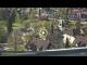 Webcam in Bad Herrenalb, 9.4 mi away