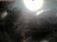 Webcam in Oberstdorf, 0.1 mi away