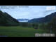 Webcam in Maishofen, 4.6 km
