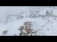 Webcam in Selva di Val Gardena, 1 mi away