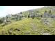 Webcam in Selva di Val Gardena, 0.7 mi away