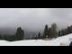 Webcam in Pozza di Fassa, 5.4 km entfernt