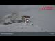 Webcam in Pontresina, 4.7 km