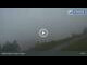 Webcam in Alpbach, 3.1 km