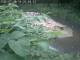 Webcam in Munich, 1.7 mi away