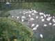 Webcam in Munich, 1.1 km