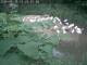 Webcam in Munich, 1.7 mi away