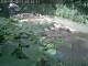 Webcam in Munich, 1.7 mi away