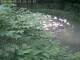 Webcam in Munich, 1.7 mi away