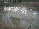 Webcam in Monaco di Baviera, 4.5 km