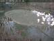 Webcam in Munich, 0.4 mi away