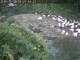 Webcam in Munich, 1.7 mi away