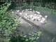 Webcam in Munich, 4.4 km