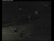 Webcam auf Langeoog, 0.6 km entfernt