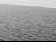 Webcam on the AIDAperla, 80.8 mi away