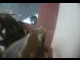 Webcam in Callosa d'en Sarrià, 13.3 mi away