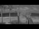 Webcam in Anse des Flamands, 0.3 mi away