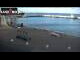 Webcam in Kralendijk, Bonaire, 67.8 km