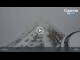 Webcam in Bad Gastein, 1 mi away