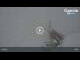 Webcam in Bad Gastein, 1 mi away