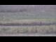 Webcam in Les Landes-Genusson, 0 km entfernt